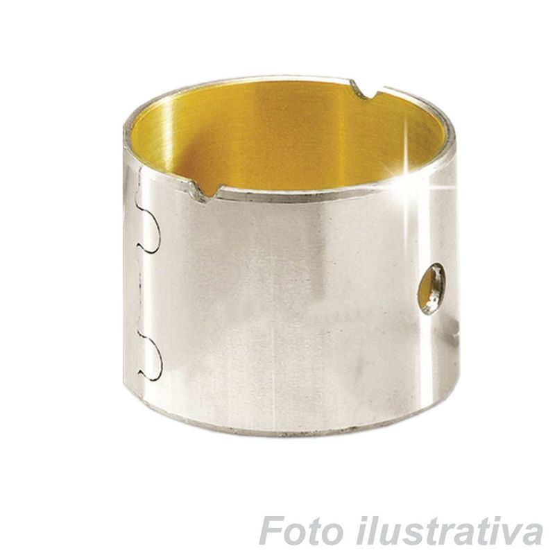 BETY2800