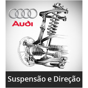 Catálogo Online Audi Q5 2009-2017