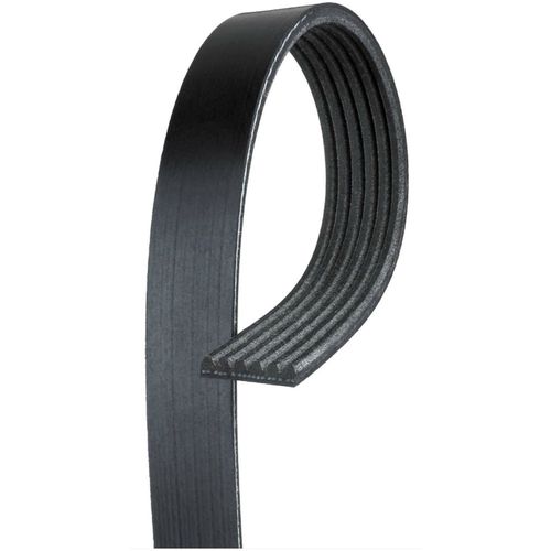 Correia Poly-V Gates Dodge Journey 3.6 V6 2011-2014