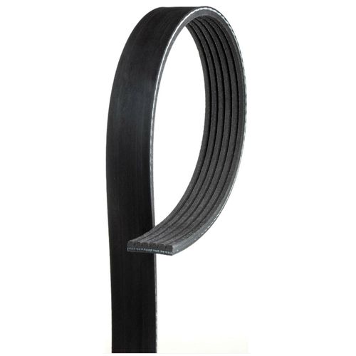 Correia Poly-V Gates Toyota Corolla 1.8 2003-2008