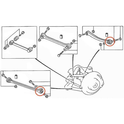Bucha Braço Traseiro APlus Mercedes-Benz C-320 2001-2007 (Sup. post.; Inf. ant.) Chassi W203
